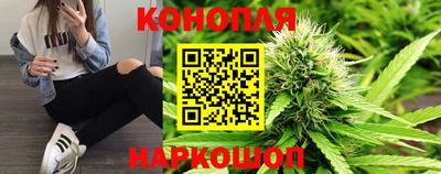 mdpv Ярославль