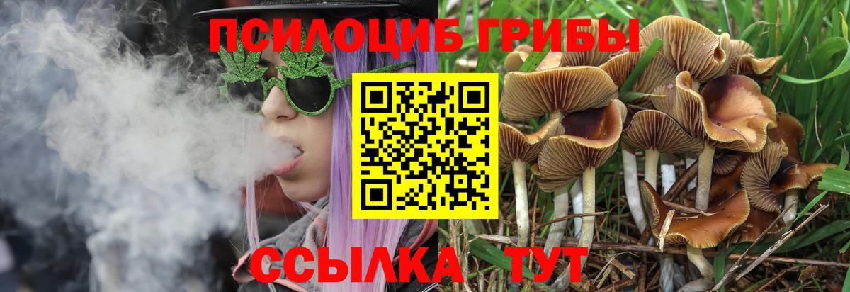 Галлюциногенные грибы ЛСД  Псилоцибиновые грибы Cubensis  цены наркотик  Вход с VPN  Россия 